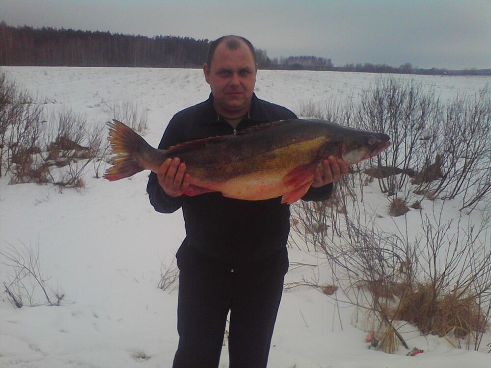 ���������� ������, ���� ������� ������, 100 ���, ������������ ��� ������, ���������