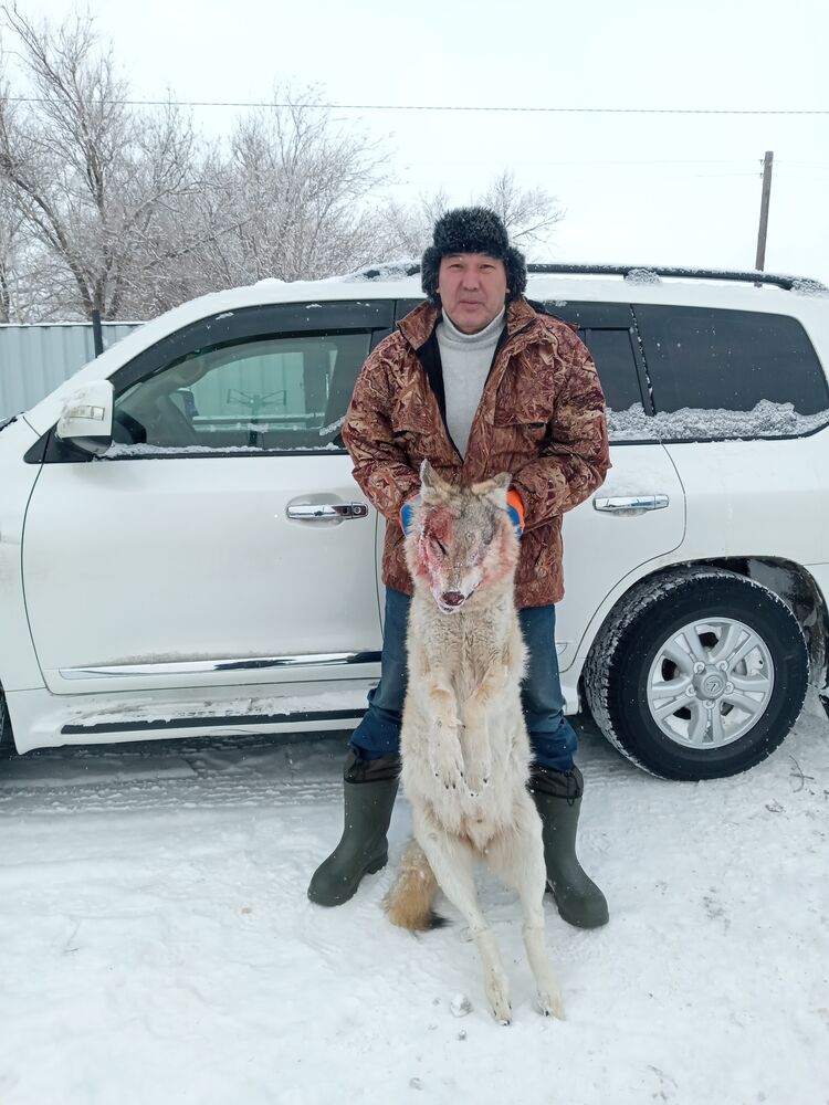 ���� 38970425 ������� �����, 46 ���, ���� ���������� � ������