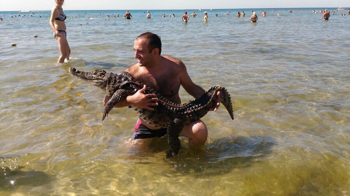 ���������� ������, ���� ������� �����, 45 ���, ������������ ��� ������, ����� � ���������