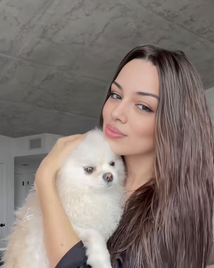 ���������� ��������, ���� ������� ����, 26 ���, ������������ ��� ������, ����� � ���������