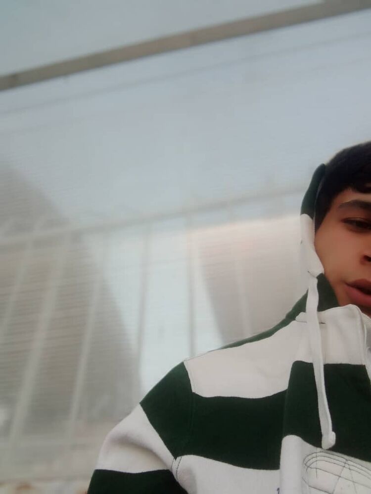 ���� 26038015 ����� �������, 24 ����, ���� ���������� � �������