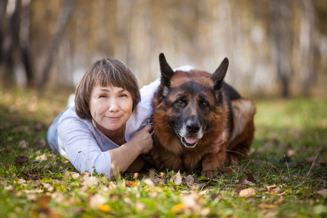 ���������� ������, ���� ������� ����, 52 ����, ������������ ��� c�������� ���������