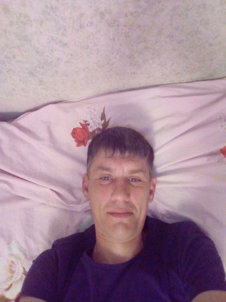  17778475  , 49 ,    