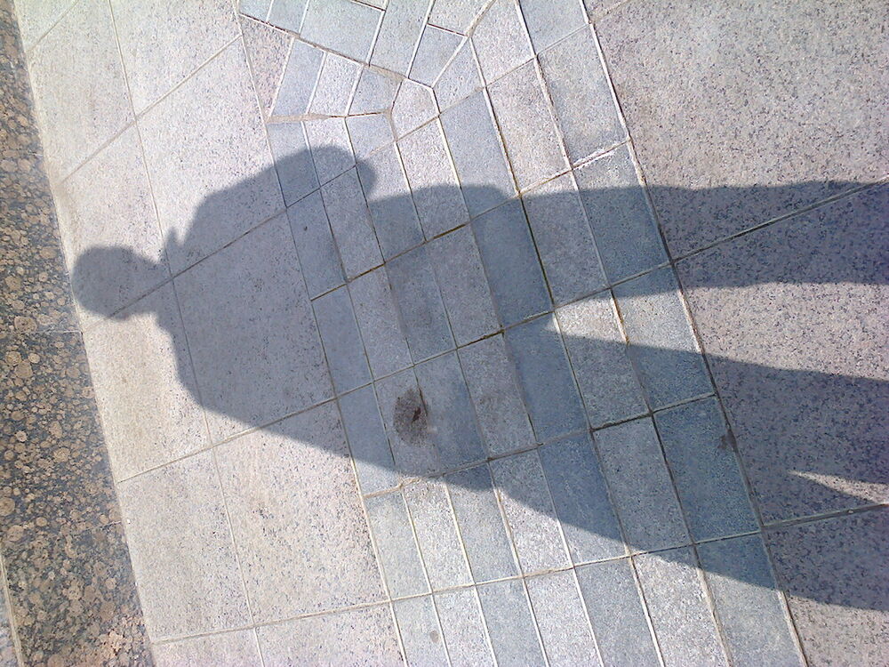 ���������� ������, ���� ������� ����, 54 ����, ������������ ��� ������