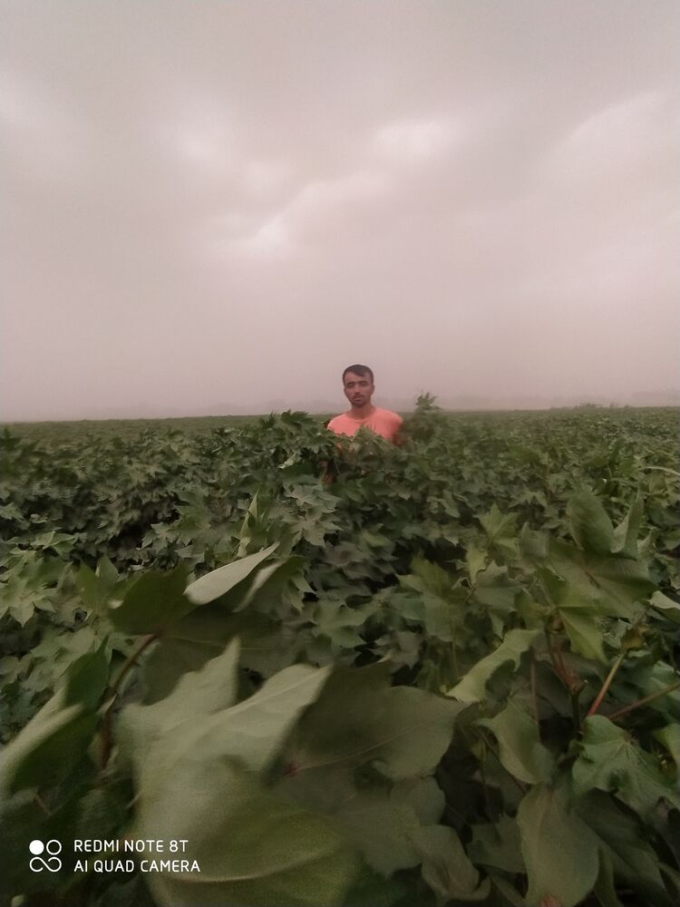 ���� 29647375 ������� Ali, 33 ����, ���� ���������� � �����-����������