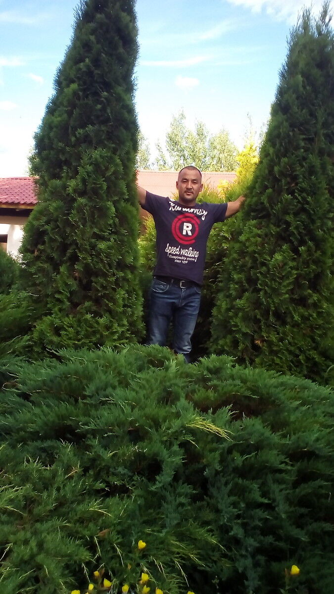  ,   Roma, 40 ,   