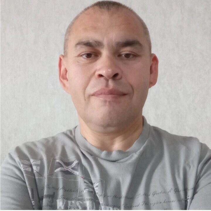  53872075  , 41 ,    