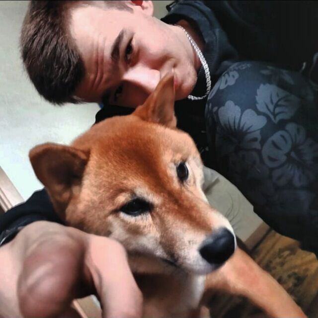 ���� 26922685 ����� ����, 24 ����, ���� ���������� � ������