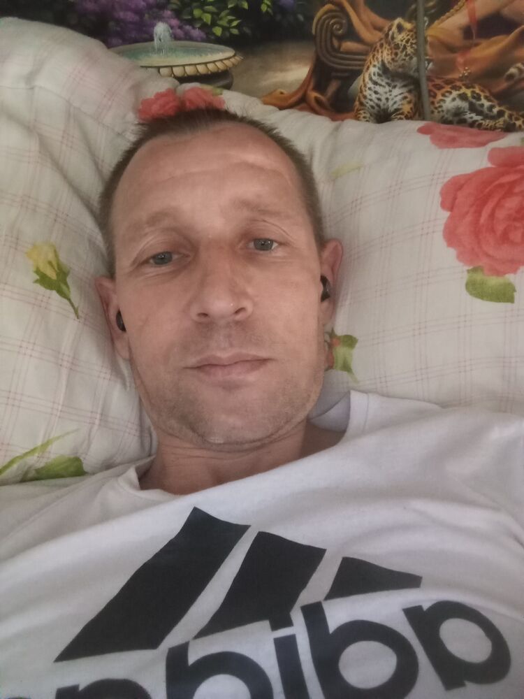  51963915  , 37 ,    