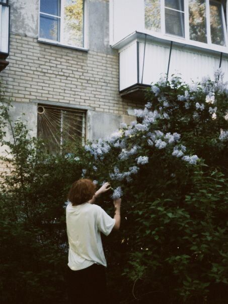 ���������� ���������, ���� ����� ������, 21 ���, ������������ ��� ������, ����� � ���������