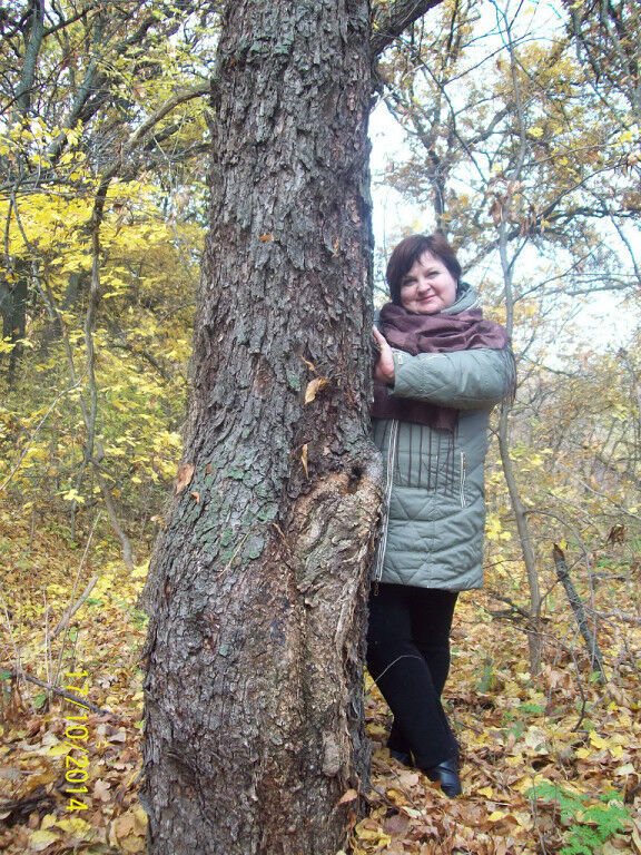 ���������� ��������, ���� ������� ����, 53 ����, ������������ ��� ������, ����� � ���������, c�������� ���������