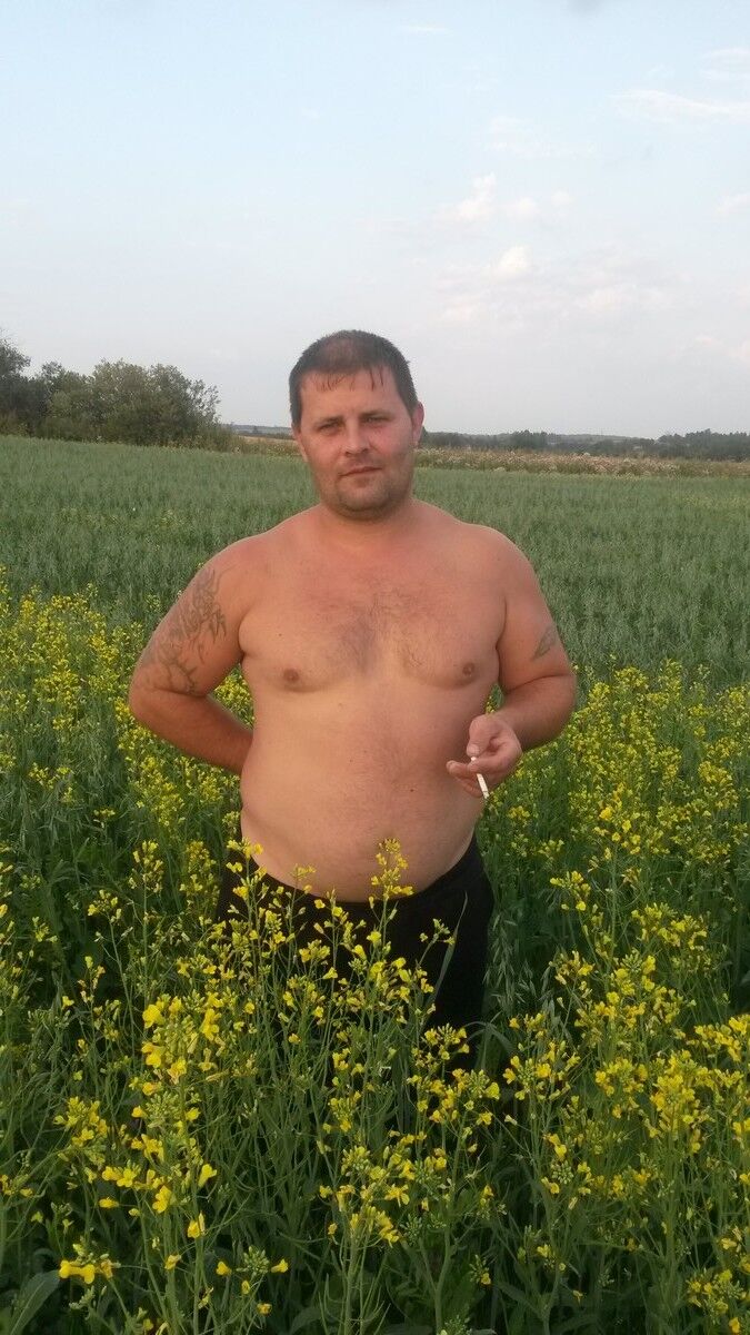  5593565  , 45 ,    