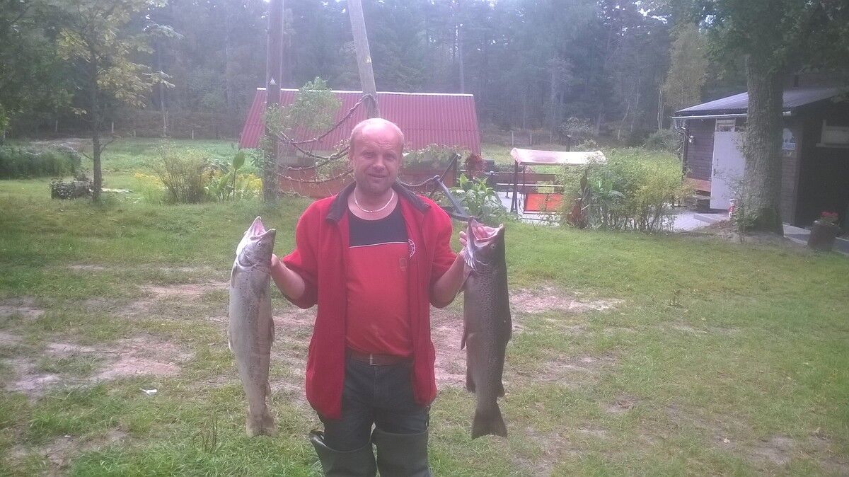  ,   , 51 ,   