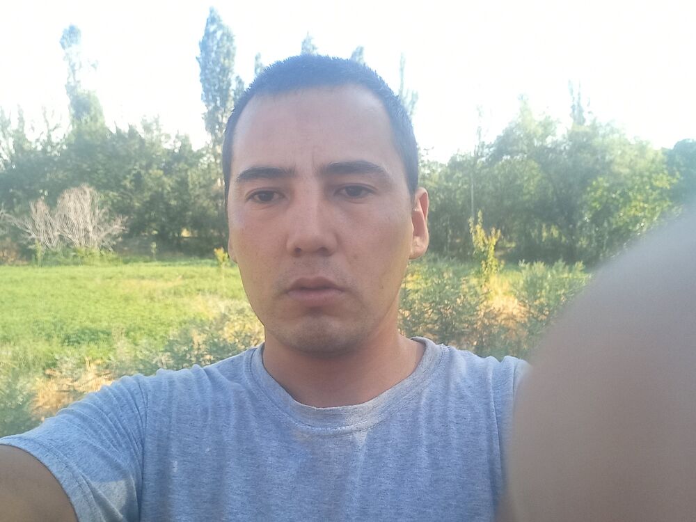  43175725  , 32 ,    