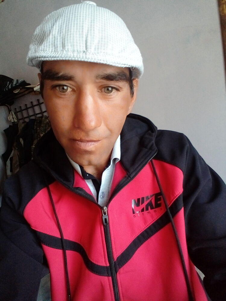 ���� 26536815 ������� ������, 40 ���, ���� ���������� � ���������