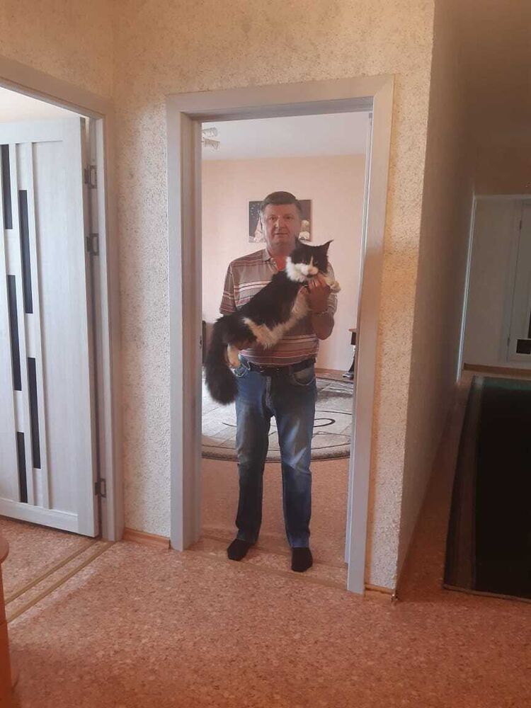  51105165  , 60 ,    