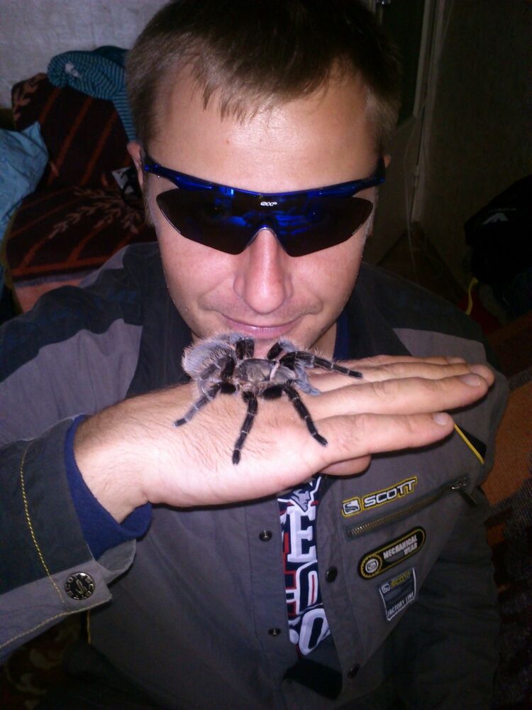 ���������� ����, ���� ������� ������������, 42 ����, ������������ ��� ������