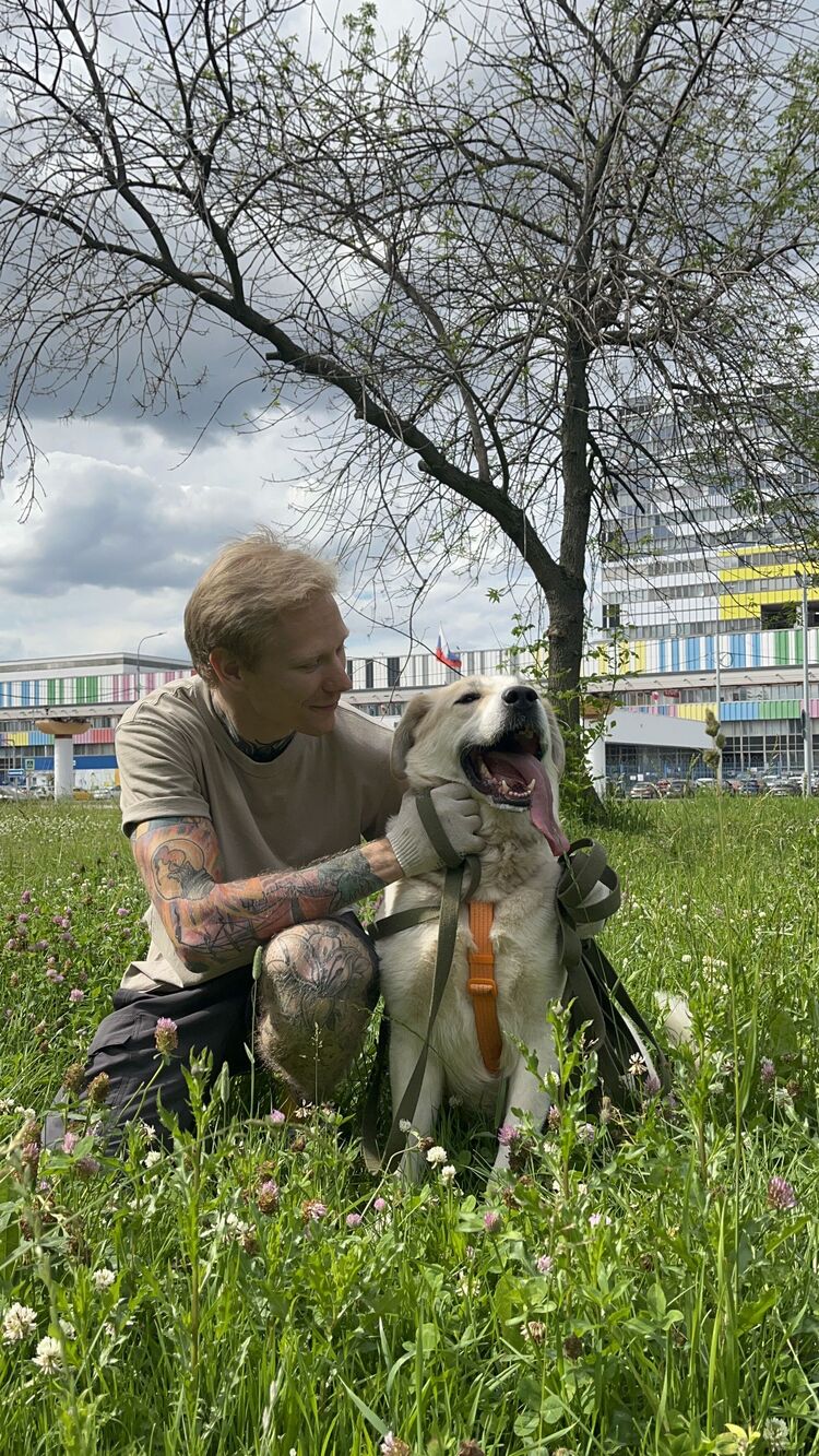  ,   , 29 ,     , 