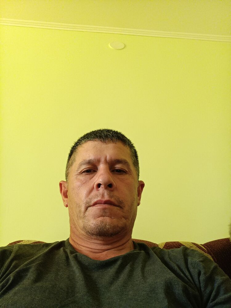  44067375  , 49 ,    