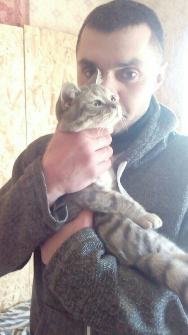 ���������� �����������, ���� ������� ����, 44 ����, ������������ ��� ������, ����� � ���������