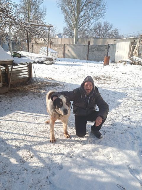 ���� 28767345 ������� �����, 42 ����, ���� ���������� � �������