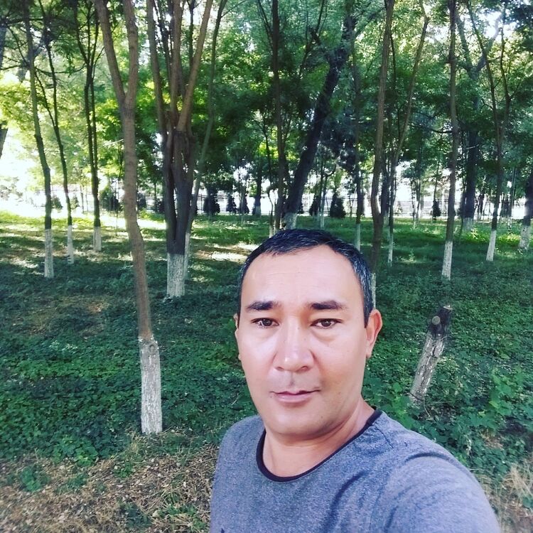  19032735  , 43 ,    
