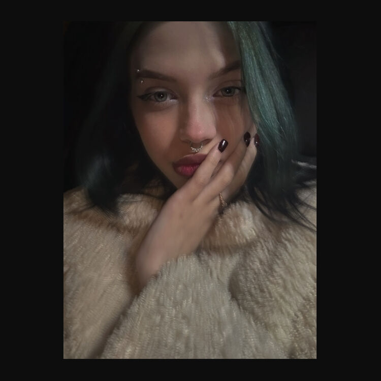  53886595  , 21 ,    