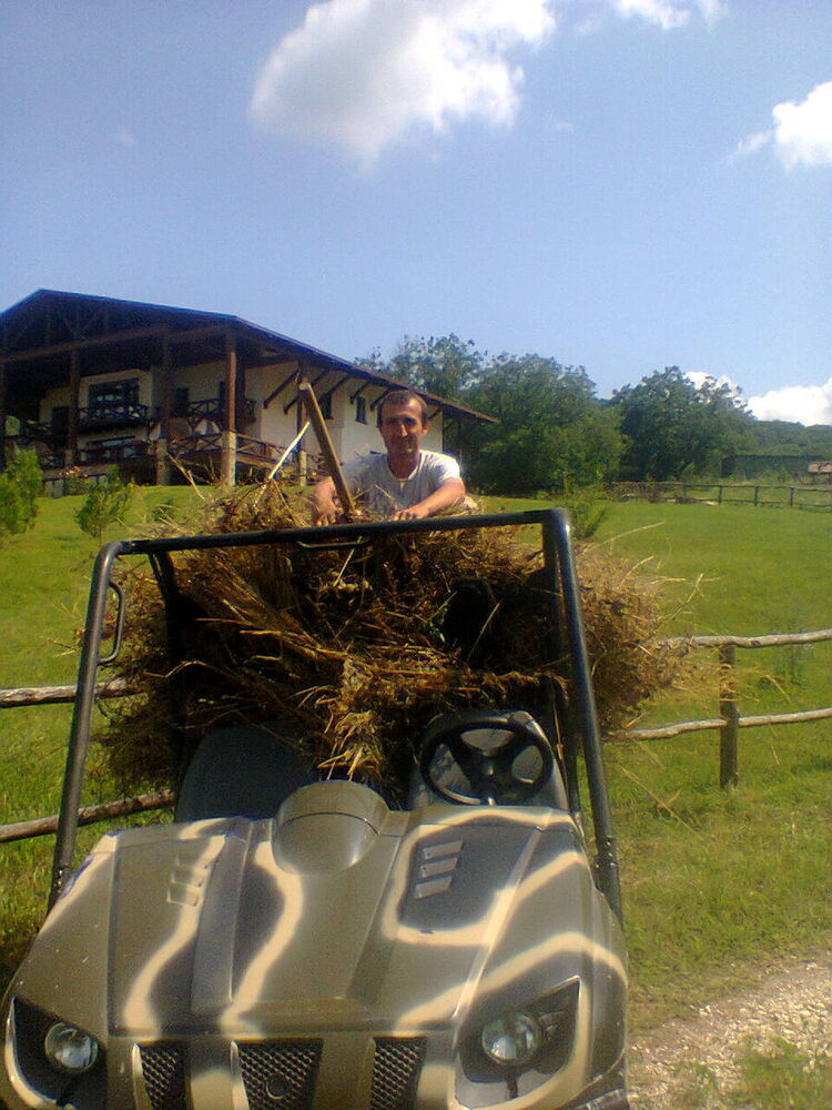 ���� 20122765 ������� ����, 46 ���, ���� ���������� � �����������