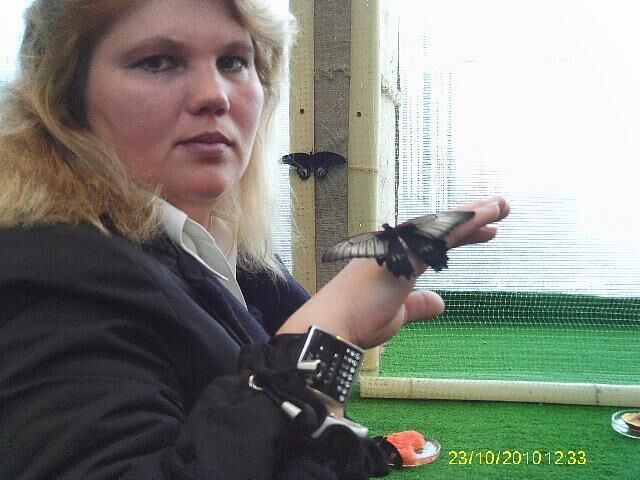  -,   , 56 ,   ,   