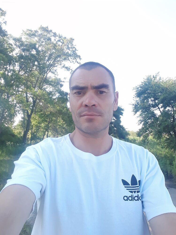  35935675  , 43 ,    