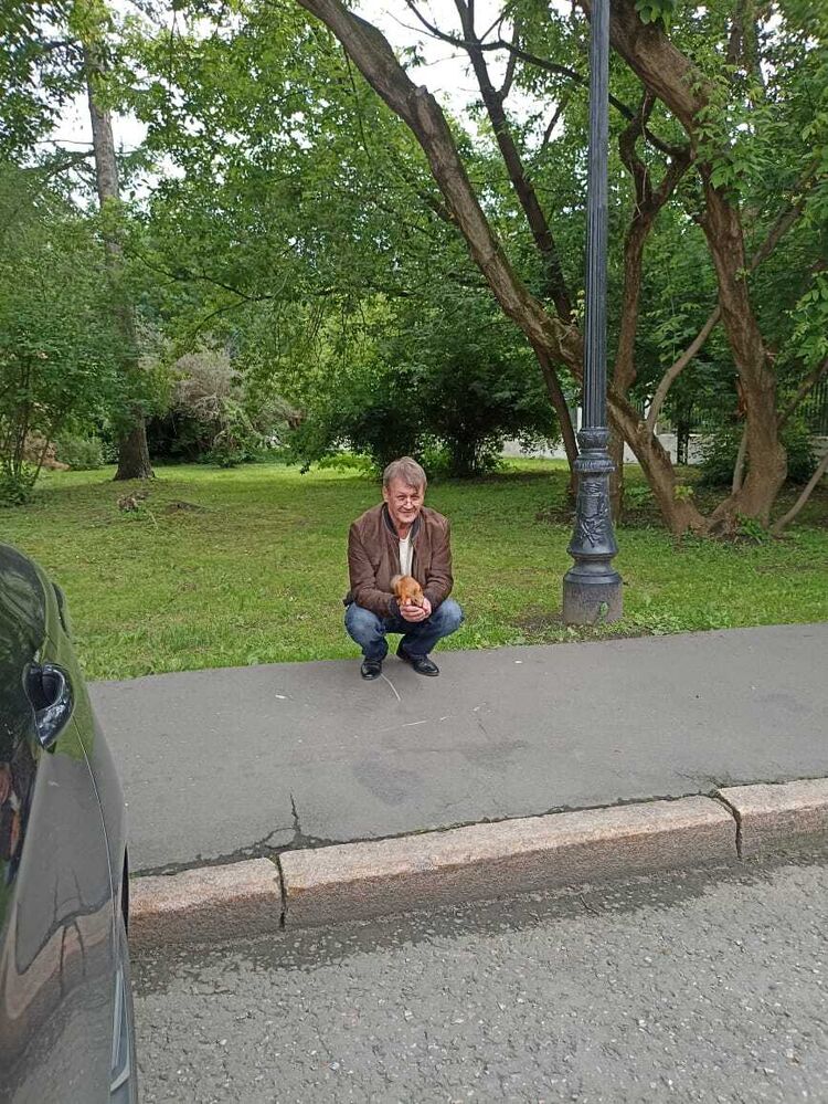  52408885  Vladimir, 60 ,    