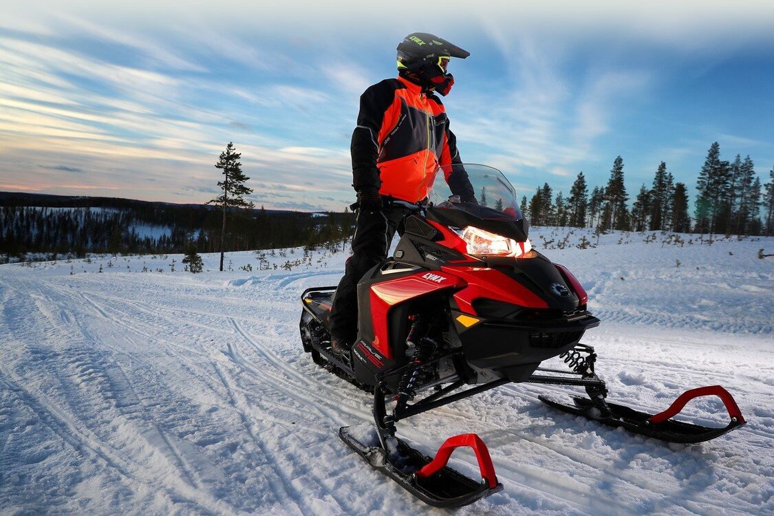 ���� 33858275 ������� ������, 37 ���, ���� ���������� � �������