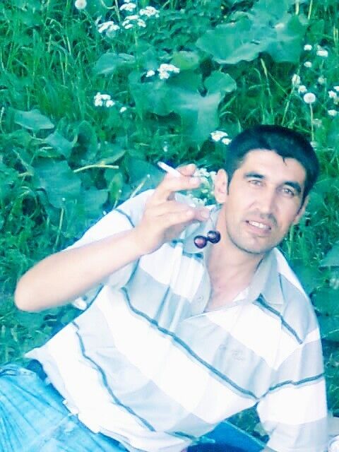  -,   , 49 ,  
