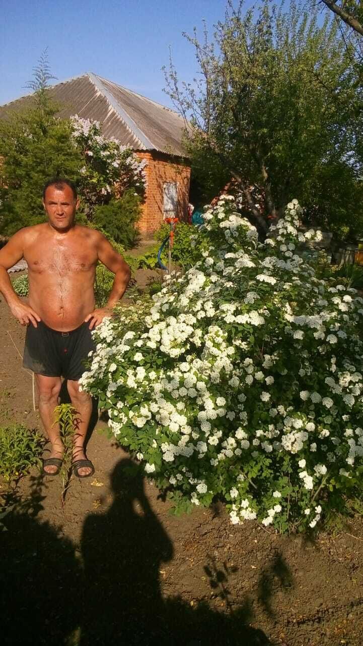  28849345  , 47 ,    