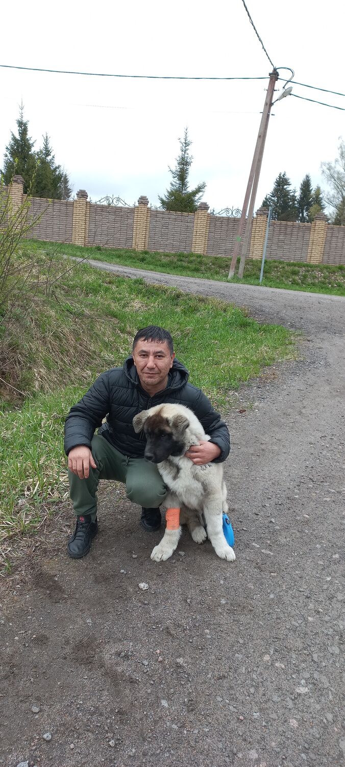 ���������� �����-���������, ���� ������� ���, 49 ���, ������������ ��� ������, ����� � ���������