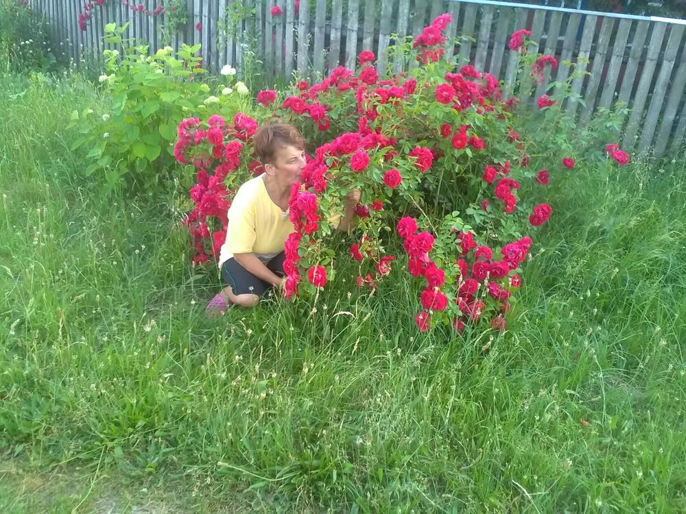  25715535  Elena, 49 ,    