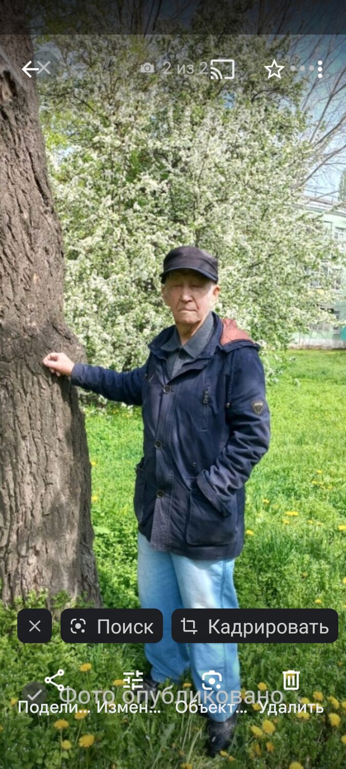 ���������� ����������, ���� ������� ��������, 85 ���, ������������ ��� ������, ����� � ���������, ���������