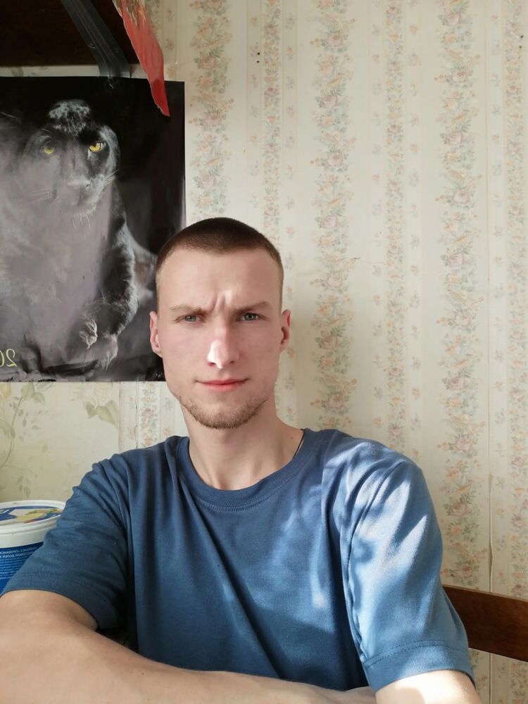  28706145  , 31 ,    