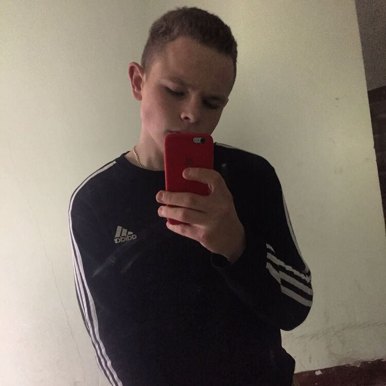  29678085  , 22 ,    