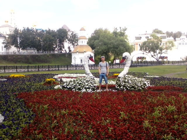  4828885  Radu, 35 ,    