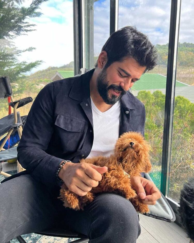  ,   BurakOzcivit, 41 ,   ,   , c 