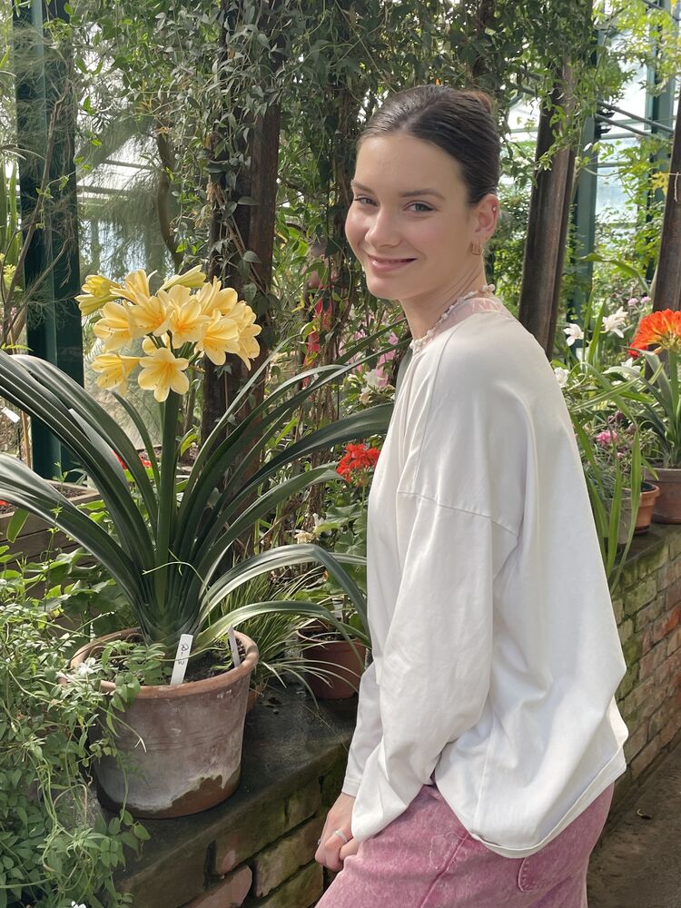 ���������� ������, ���� ������� ���������, 27 ���, ������������ ��� ����� � ���������, c�������� ���������