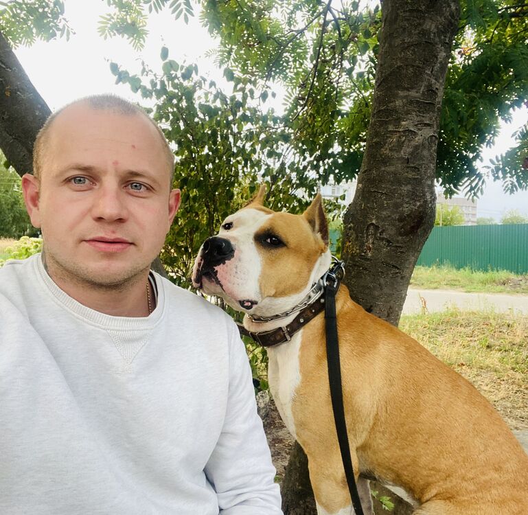 ���������� ������, ���� ������� �����, 31 ���, ������������ ��� ������, ����� � ���������, c�������� ���������