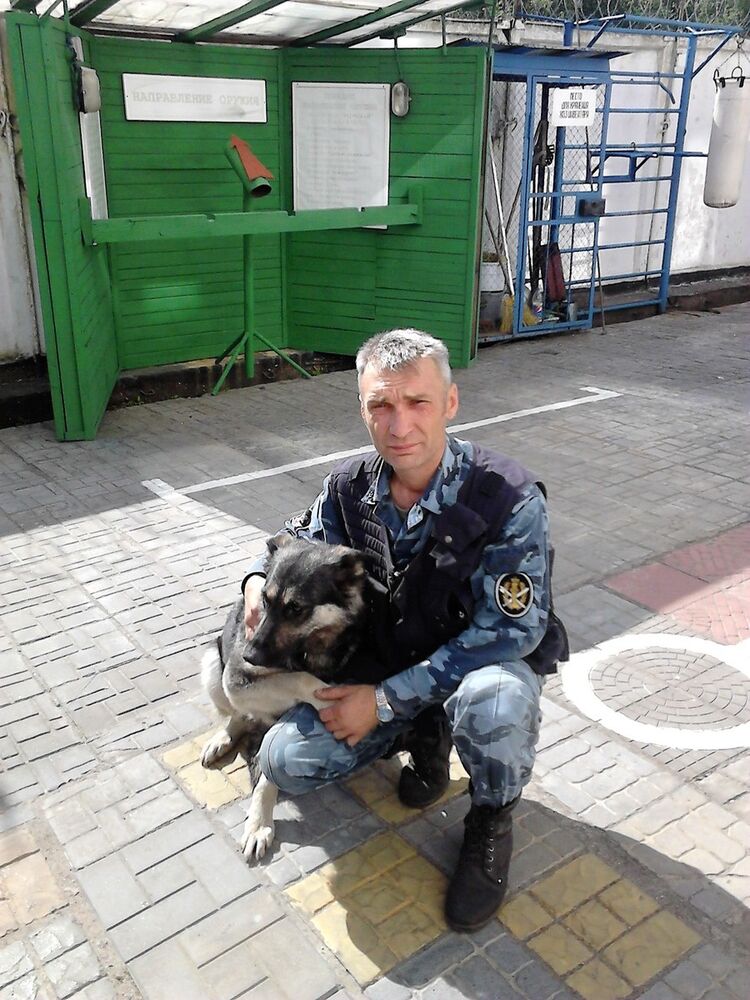 ���� 8391855 ������� ������, 45 ���, ���� ���������� � ������� ���������