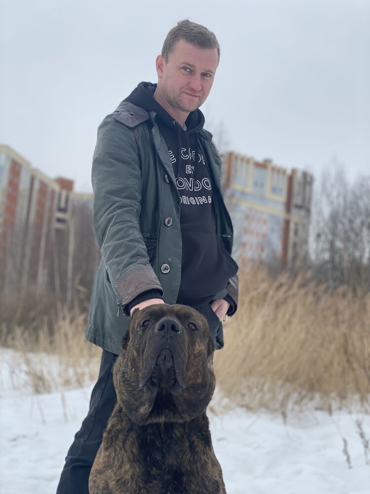 ���� 25512925 ������� ������, 42 ����, ���� ���������� � �����-����������