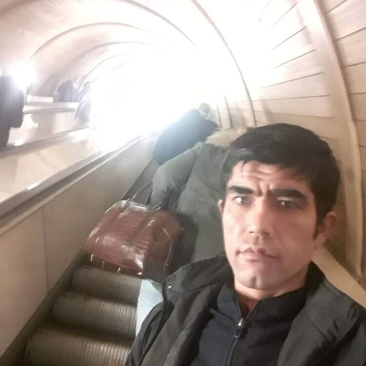 ���� 23285725 ������� ������, 33 ����, ���� ���������� � �������