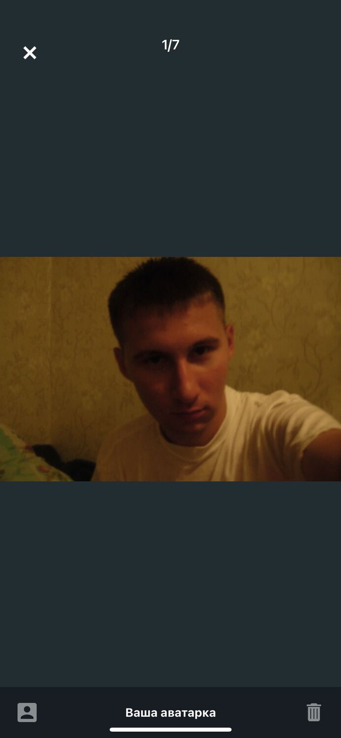  33362535  , 36 ,    