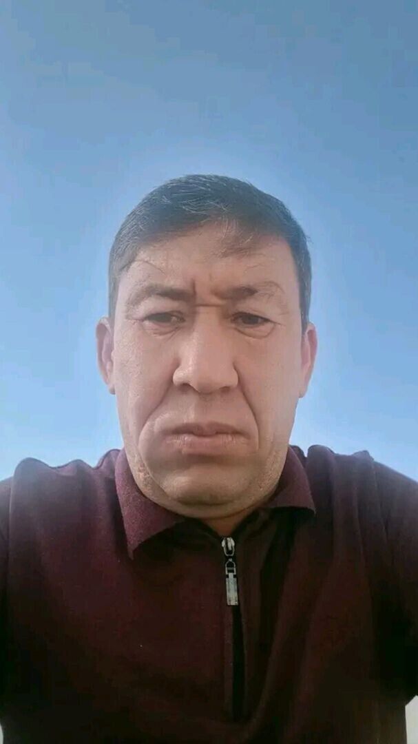  46242315  , 46 ,    