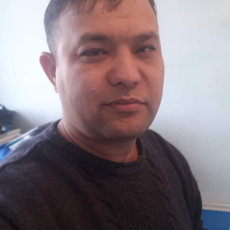  28386185  , 43 ,    