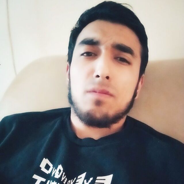  41329055   , 25 ,    